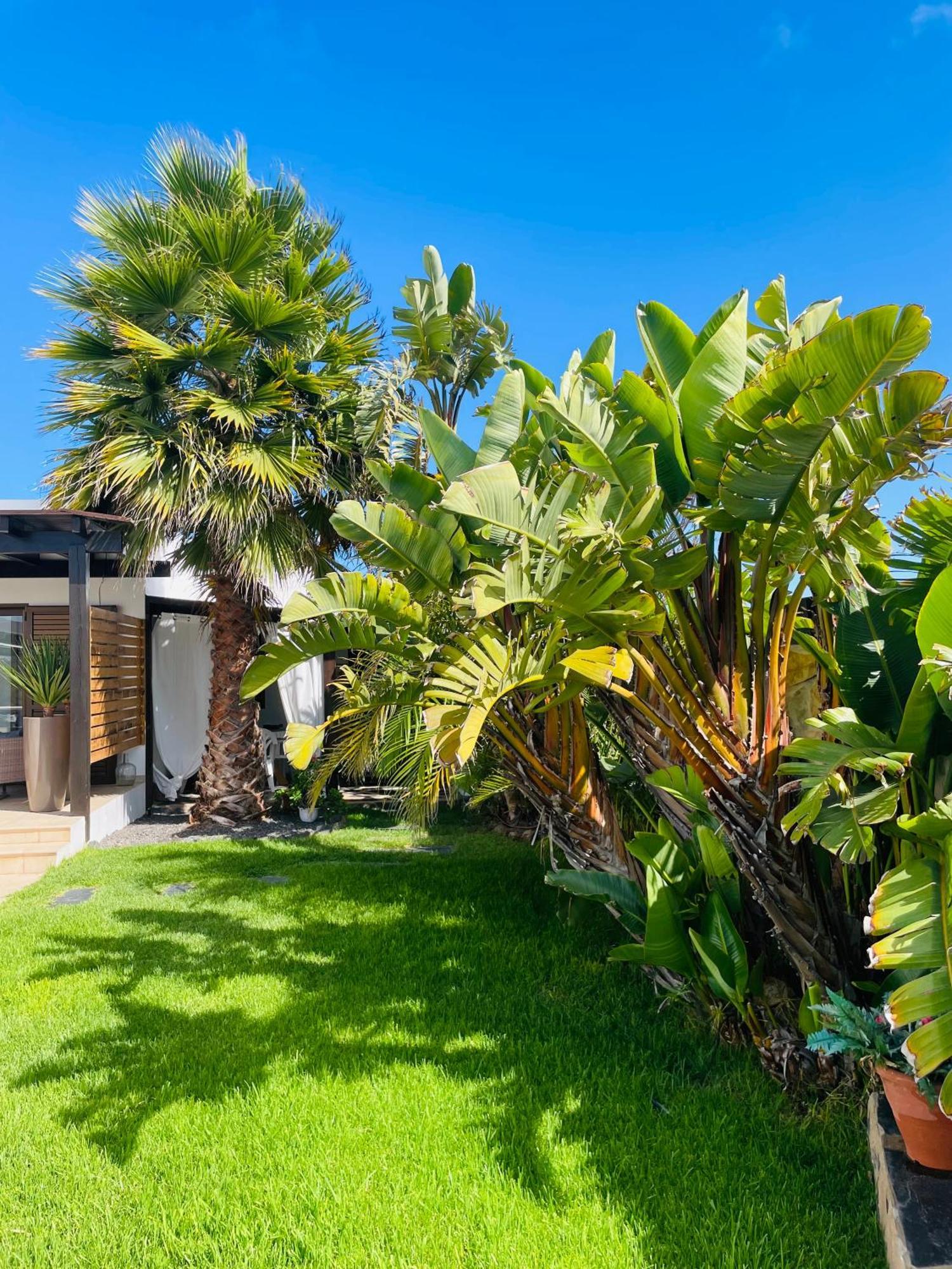 Kalufa Surf House Hostel El Cuchillo Kültér fotó